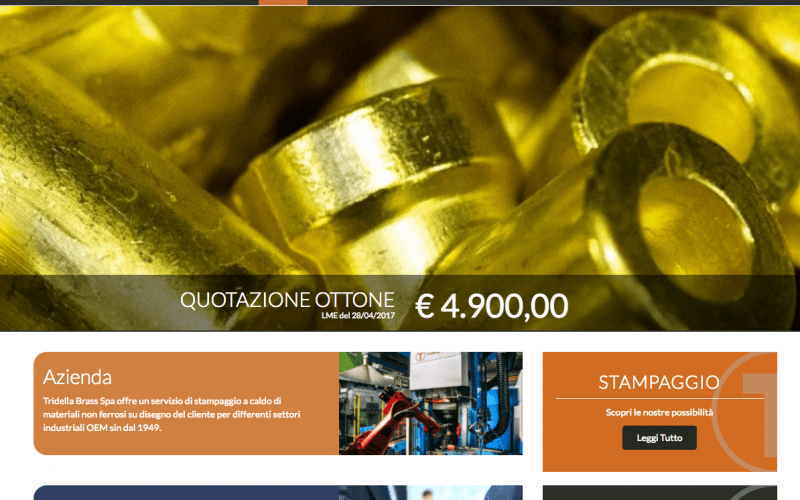 Nuovo sito TRIDELLAGST!